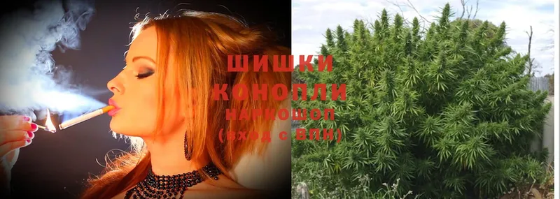 кракен ТОР  Ангарск  Конопля SATIVA & INDICA  как найти наркотики 